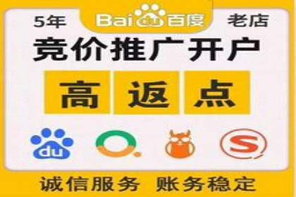 案例展示：SEM账户托管服务成果
